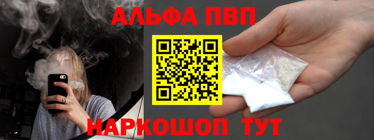 Alfa_PVP СК Асино