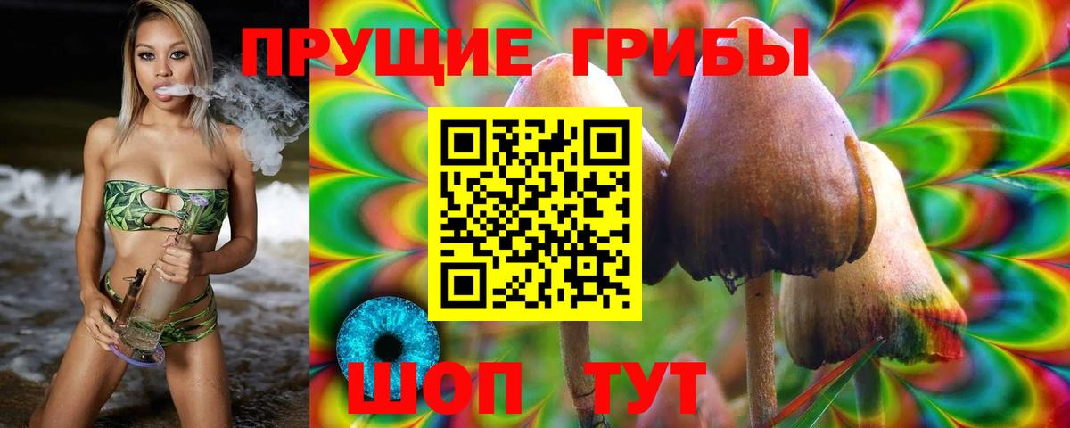 купить наркотики сайты  Вход с VPN  Асино  Галлюциногенные грибы ЛСД  Галлюциногенные грибы Cubensis 